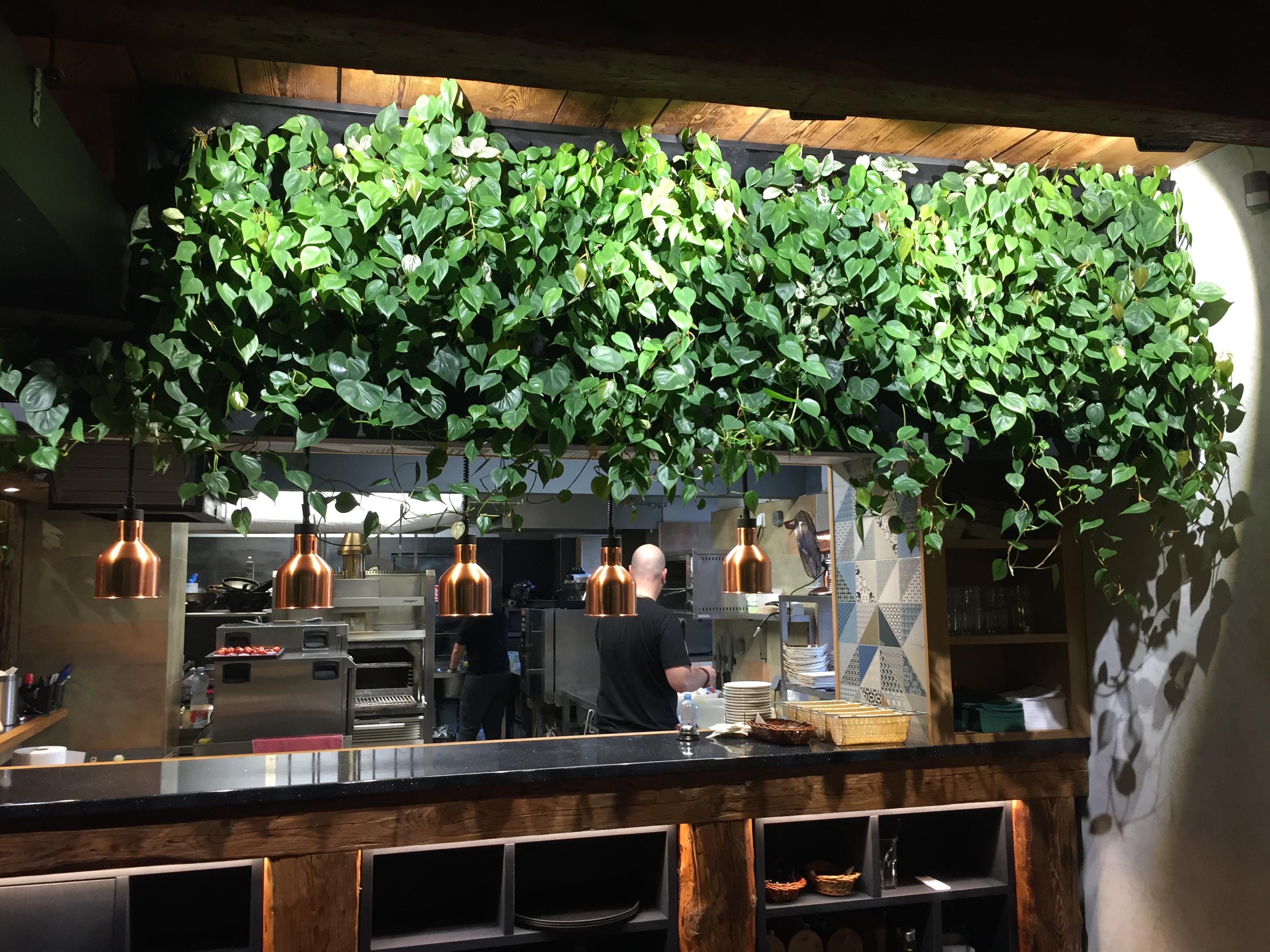 Pestebni-Osvetleni_vertikalni_zahrady_v-restauraci-COMIX_PUB_grow_led_cz (2)